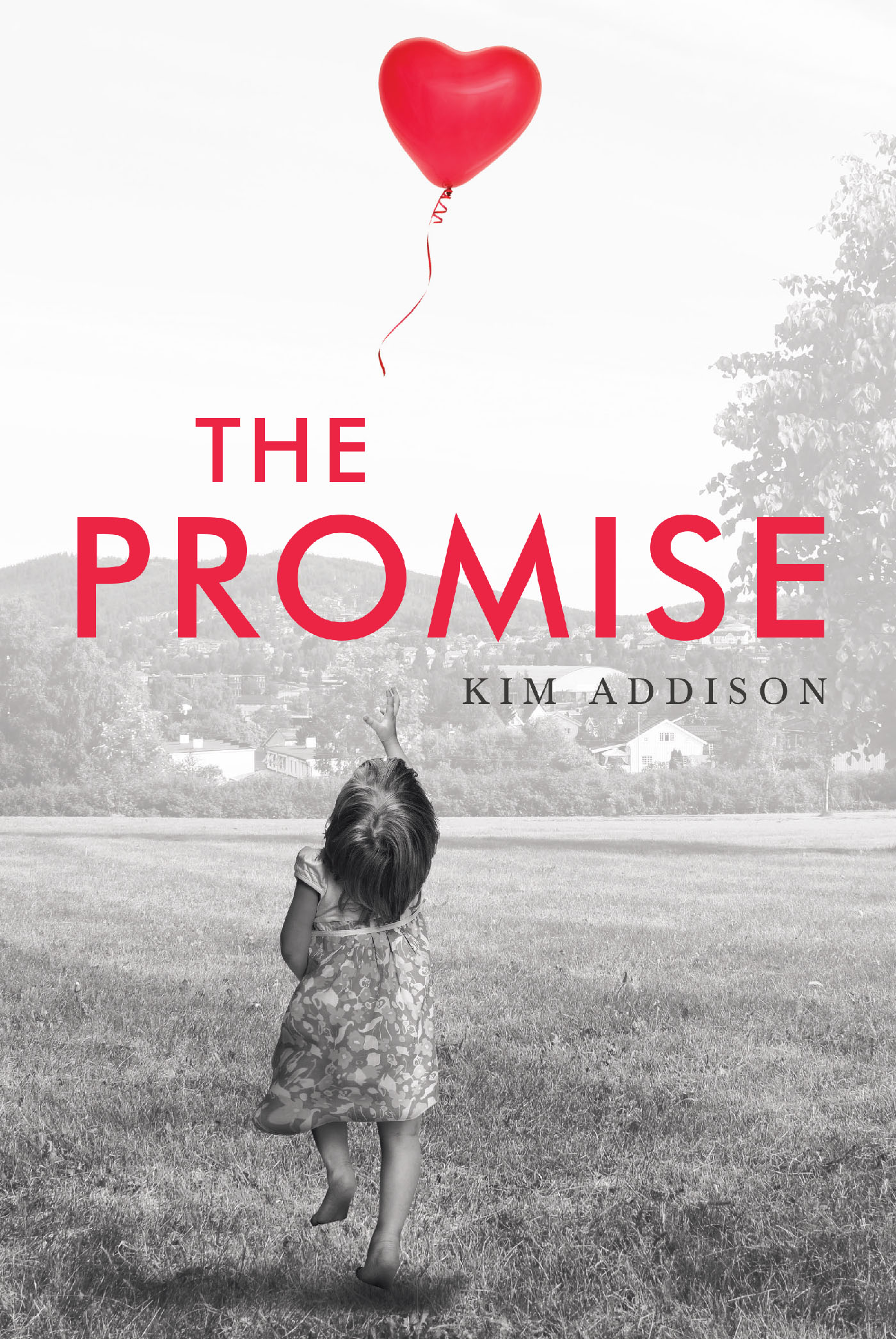 The Promise Cover Image