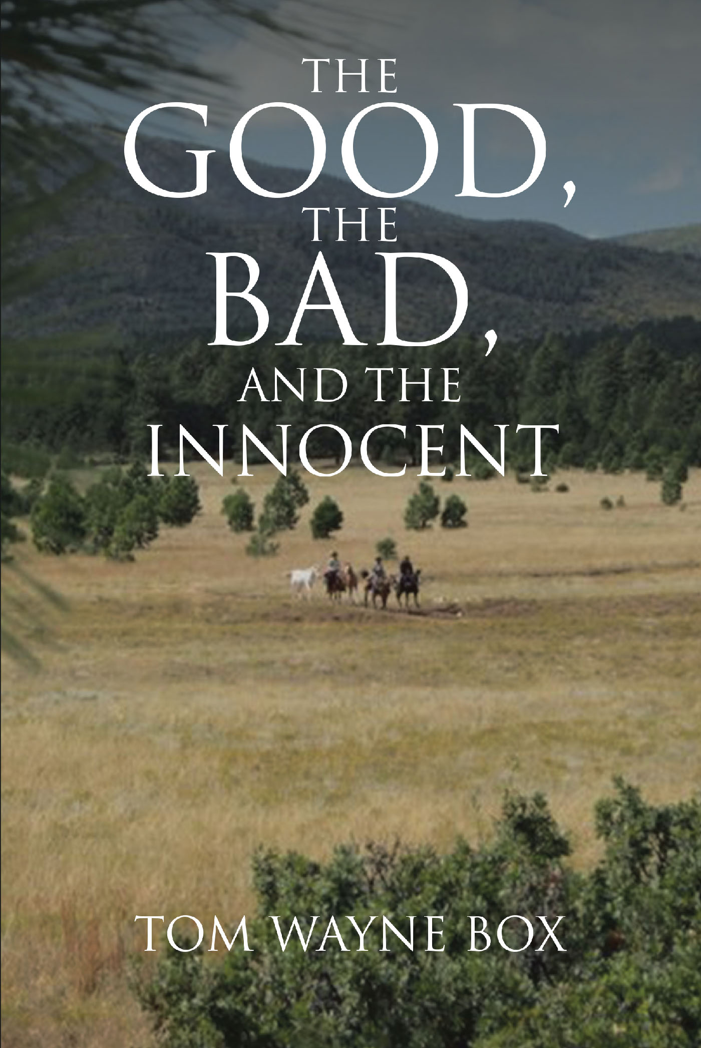 The Good, the Bad, and the Innocent Cover Image