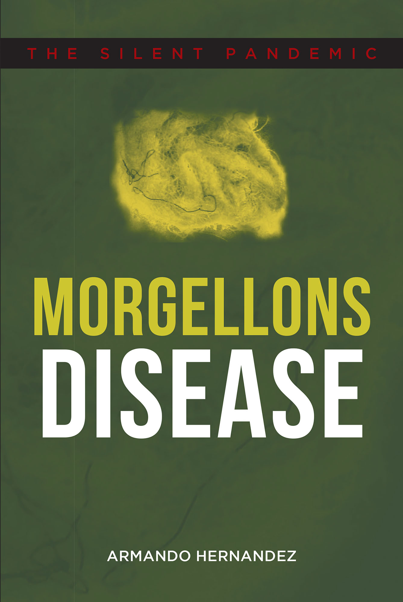 Morgellons Disease Cover Image