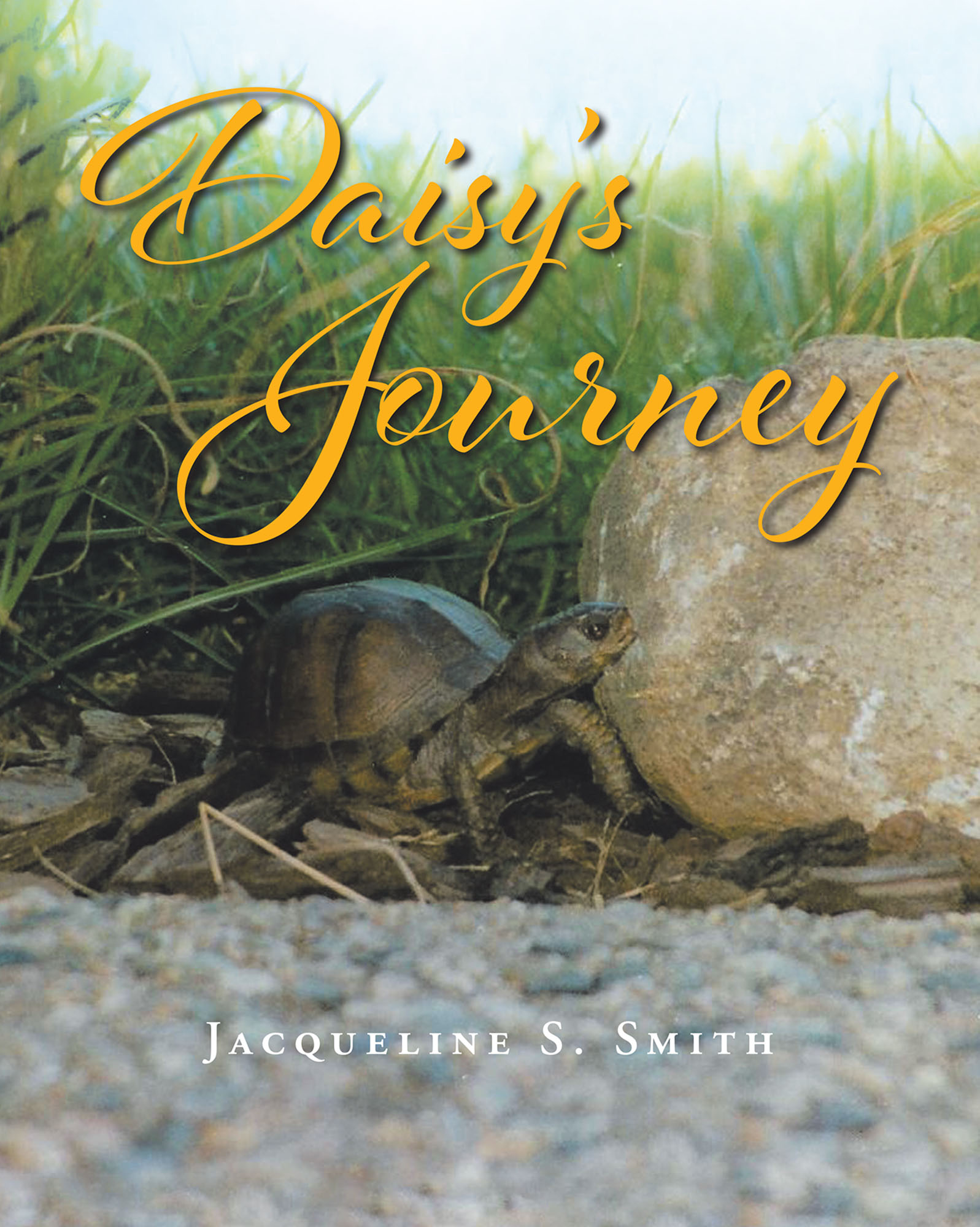 Daisy's Journey Cover Image